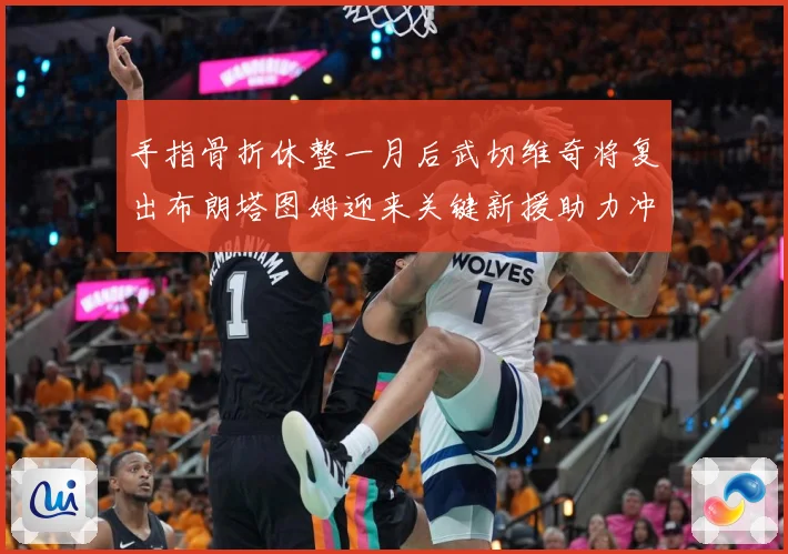 手指骨折休整一月后武切维奇将复出布朗塔图姆迎来关键新援助力冲成长观察-深度解析
