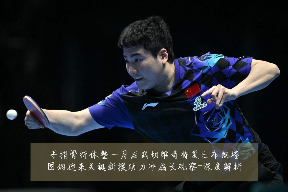 手指骨折休整一月后武切维奇将复出布朗塔图姆迎来关键新援助力冲成长观察-深度解析