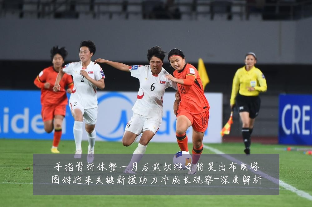 手指骨折休整一月后武切维奇将复出布朗塔图姆迎来关键新援助力冲成长观察-深度解析